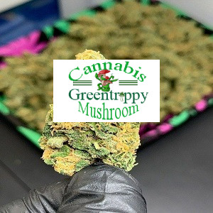 Green Crack, also known as Green Cush, Green Crush, or Mango Crack, is a sativa-dominant cannabis strain that is known for its energizing effects